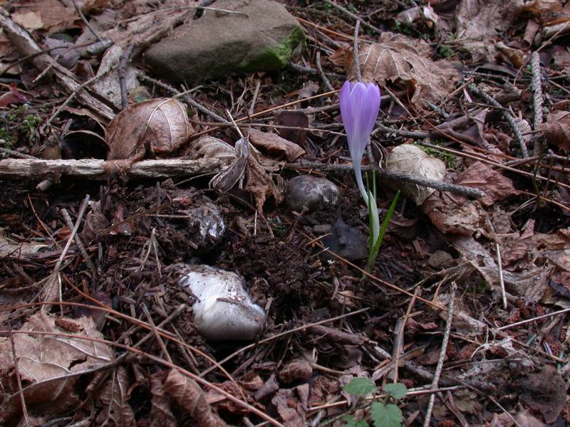 Prima escursione in montagna